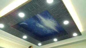 asma tavan ustası cemil cesur